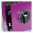 BASI mySafe F fingerprint safe input unit